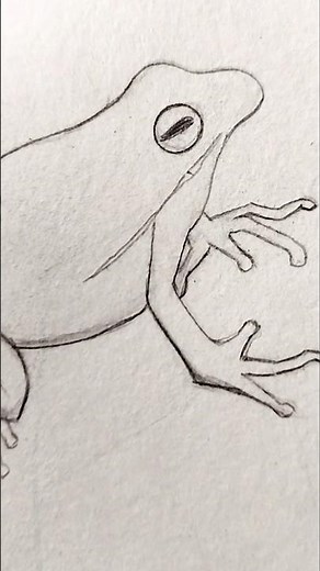 How to draw a frog 🐸#frog #frogdrawing #animalart #draw #sketch