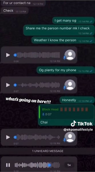 Cheating Girlfriend Caught on WhatsApp Voice Note
