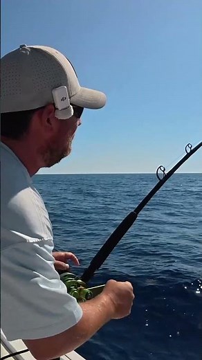 I Made One Drop in *800ft DEEP* and Caught THIS! #shorts #fishing #fish #seafood