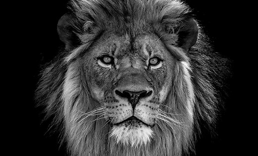 Lionbridge: Übersetzung & Lokalisierung für globale Firmen