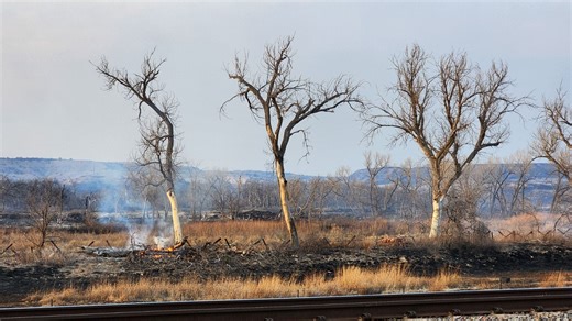 These are largest, deadliest and most destructive wildfires in Texas, US history