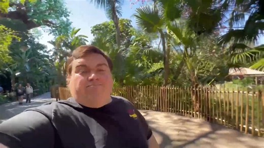 18K views · 172 reactions | ULTIMATE Plus Size Guide to EVERY Disney...