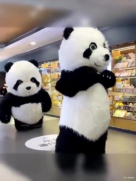 Inflatable Panda Mascot Costume for Events and Parties