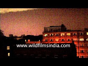 Lightning illuminates the London skyline