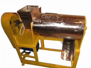 Fruit Pulper Machine