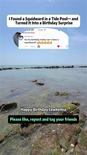 Turning Tide Pool Discoveries into Birthday Surprises