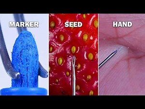 Needles ASMR: Oddly Satisfying Interactions With Different Objects