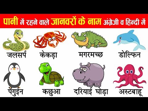 Water Animals Names in English and Hindi | Ocean Animals | Sea Creatures | जलचर प्राणी