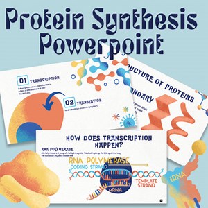 The Cutest and Easiest Protein Synthesis Powerpoint