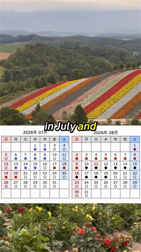 Tony Xia Chuan on Instagram: "To provide the most accurate guidance, we use the official JR calendar, which follows Japan Rail’s flexible pricing model. This allows us to clearly identify the best and busiest times to visit Japan, with prices reflecting demand based on historical data for each date. * Coverage begins in February due to timing of the initial release. ✅ You can find my full analysis in Rexby Map under Travel Tips. #yamatrips #japan2026"