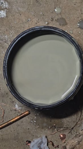 Crystal Rock Market on Instagram: "Incredible petrified wood from east texas"