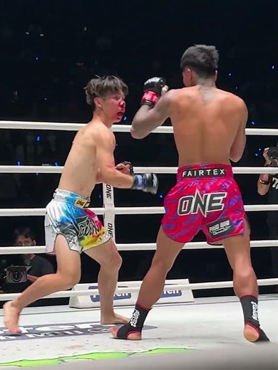 BRAWLING 🤜💥🤛