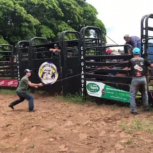 Bull Riding Action at Outdoor Rodeo Event