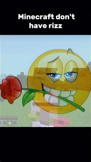 Minecraft Rizz 😍