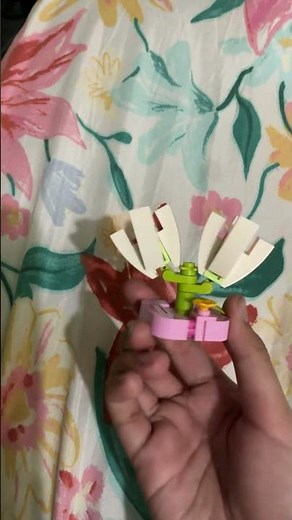 The first Lego set I built properly