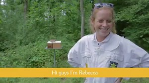 We're sending a big hive-five to the 450 bee farmers in the UK 🙏 We rely on these hive heroes to protect our amazing honey bees, which are sadly nearly extinct 🐝 💛 Fancy joining our hive? Find out how you could 'Bee A Bee Farmer' here: https://www.rowsehoney.co.uk/hives-for-lives/bee-a-bee-farmer/ | Rowse Honey