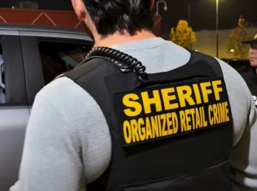 Day three of Sacramento retail theft operation results in 17 arrests