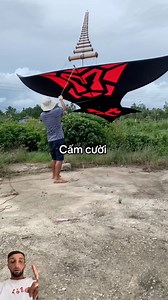Pipa musical | PIPA ARTE