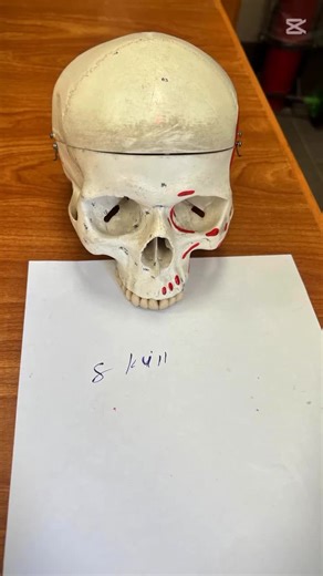 Dr/Asma Gad على TikTok