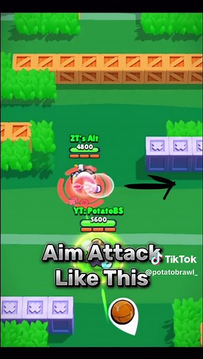 Rank 30 Willow Guide in Brawl Stars