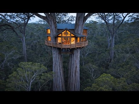 I Built a Luxury Treehouse on Two Giant Trees | Incredible Forest Home Tour 🌲🏡