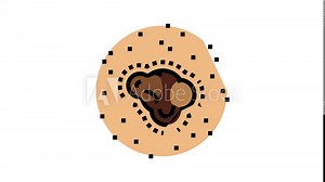 changing size chape color mole melanoma color icon animation