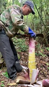 Unlock the Secret: Peel Long Bamboo Shoots Like a Pro