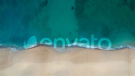 Waves Logo Reveal - Minimal