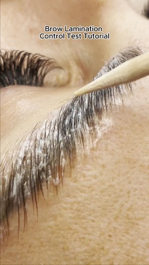 2.1K views | Brow Lamination Control Test ✨Tutorial✨Want to know how to test whether Step 1 of the Brow Lamination process has worked before continuing the treatment? Watch until the end to learn how to check if the brow hair is ready!Want to learn more? Link in bio to become a brow pro with our accredited training courses!#LashPerfect #browlamination #browhairtest #browlaminationprocess #browtreatment | Lash Perfect | Facebook