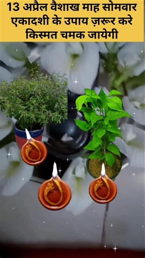 13 April Vaishakh Maah Ki Ekadashi ke upay pradosh kal me teen Deepak Jarur Jala dena #pradeepmishra