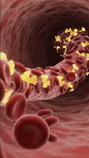 How Gingko biloba works in the Brain watch the stimulations