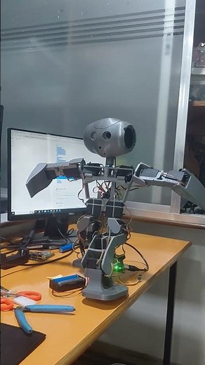 Humanoid Robot Dance