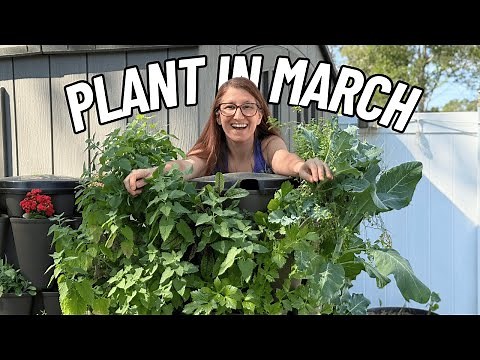 20 Awesome Veggies You Should Plant In March