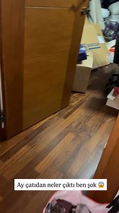 Tavan Arası bitmiyor Bacım | Fenomen Dünyası