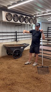 There is a right way to pick pens 😄 www.StockUpSupply.com #livestockshow #cattleshow #livestock #showcattle #ffa #4h #showsteer #cattle #showheifer #steershow #clippingcattle #steer #heifer #heifershow | Stock Up Supply