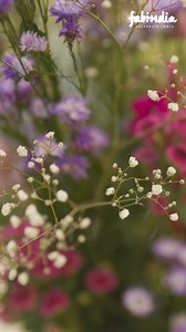 Fabindia brings nature inspired designs with trendy silhouettes. With tops, shirts, dresses and more, SS’24 is now live. Shop for men and women at your nearest store today. | Fabindia