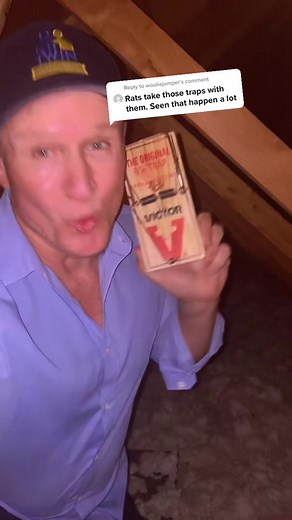 Effective Attic Rat Trap Hacks for Pest Control | Twin Home Experts