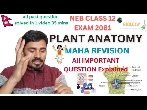 PLANT ANATOMY CLASS 12 NEB|ALL IMPORTANT QUESTIONS FROM PLANT ANATOMY CLASS 12 NEB