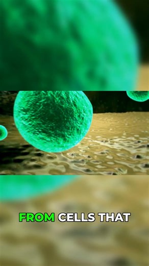 Stomach Cells: Old Dogs, New Tricks in Repair!