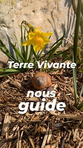 17K views · 547 reactions | Un guide pour les accueillir tous ! ...