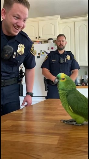 Officers Amused by Parrot's Antics Can a parrot make you laugh too? Generated using Kling AI . . . (For entertainment purposes only. Consult professionals if guidance on activities is presented. No brand affiliation is implied if any are shown. If inspired by true events, creative adaptations may be included. Content may include public footage.) | Fabiosa Hearty