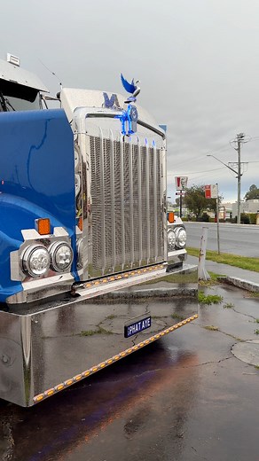 Anywhere truck and machinery at Casino Truck Show 2025. | M1TruckSpotter
