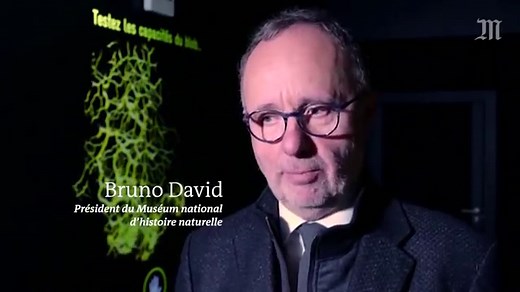 Le blob, curiosité biologique composée d’une unique cellule, sera exposé au zoo de Vincennes