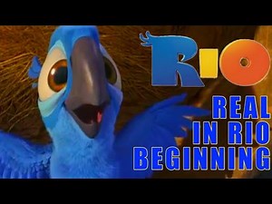 Rio the Movie - Real in Rio (Beginning of Movie) |MOVIE CLIP|