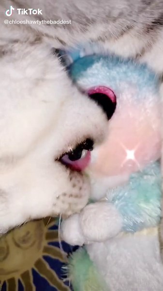 i need a bad bleep uh- addison rae it’s chloe’s american girl doll channel ❤️@chloesamericangirl @addisonre #addisonrae #foryoupage #chloenoticeme