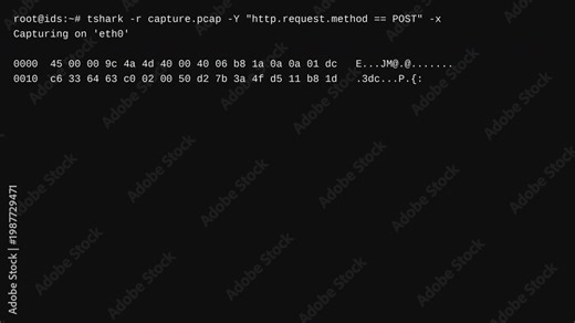 Network forensic analyst using tshark packet capture to hunt for malicious data exfiltration and base64 encoded payload traffic