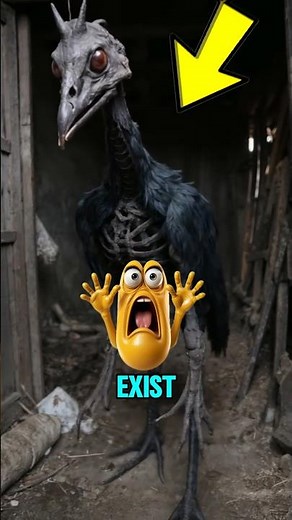 "Top 4 Animals So Strange They Break the Matrix 😱 ✨️" #GlitchAnimals #MatrixCreatures #UnrealNature