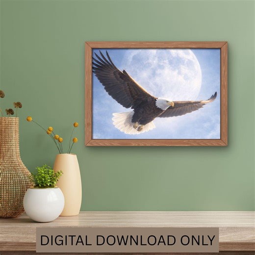 Eagle Wall Art, Wildlife Poster, Colorful Bird Illustration, Nature Lovers Gift, Soaring Raptor Print - Etsy