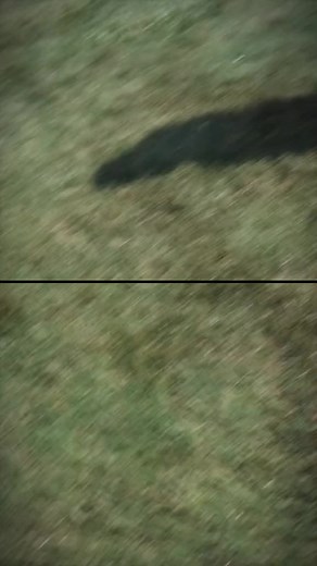 ANGRY GRANDMA on TikTok