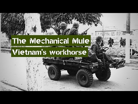 The US Army's wheeled Workhorse | The Mechanical Mule in the Vietnam War
